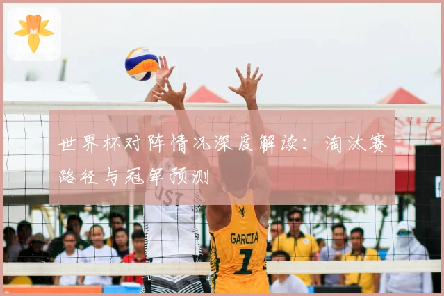 世界杯对阵情况深度解读：淘汰赛路径与冠军预测