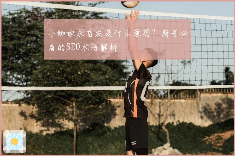 小蜘蛛求首发是什么意思？新手必看的SEO术语解析