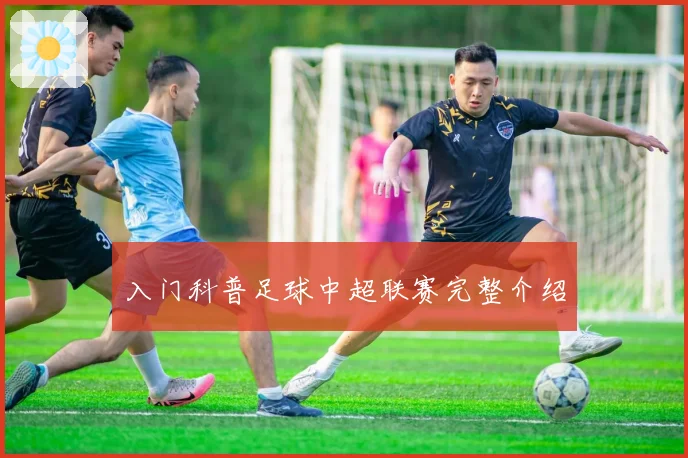 入门科普足球中超联赛完整介绍