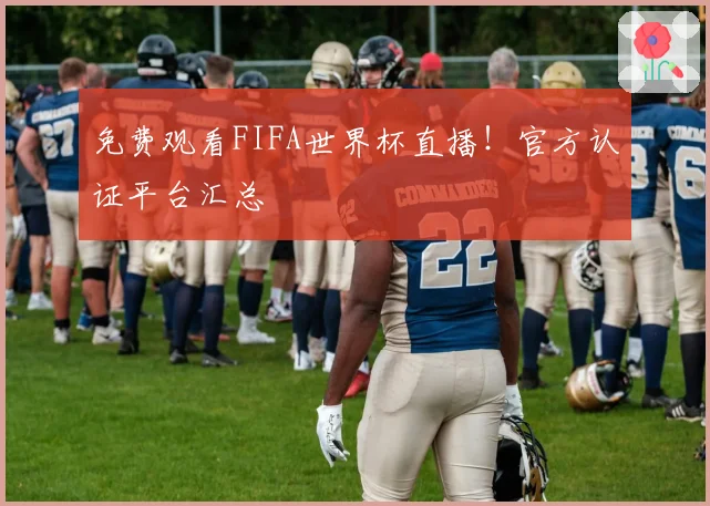 免费观看FIFA世界杯直播！官方认证平台汇总