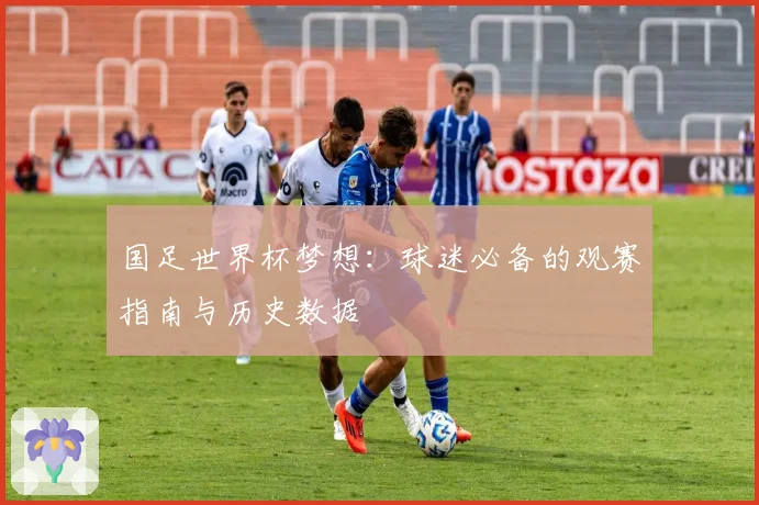 国足世界杯梦想：球迷必备的观赛指南与历史数据