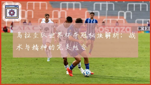 乌拉圭队世界杯夺冠秘诀解析：战术与精神的完美结合