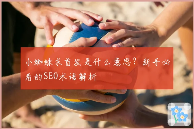 小蜘蛛求首发是什么意思？新手必看的SEO术语解析
