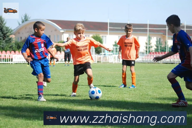 开云app平台生态图