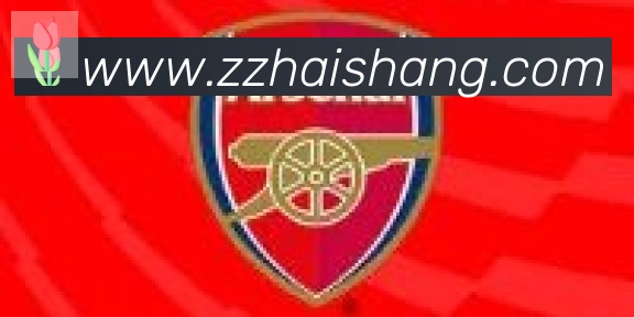 开云app在线入口合作伙伴