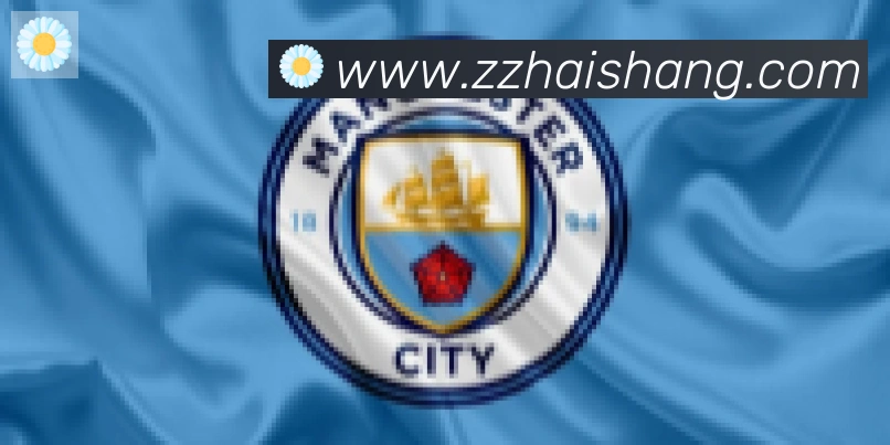 开云app合作伙伴