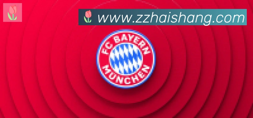 开云app合作伙伴