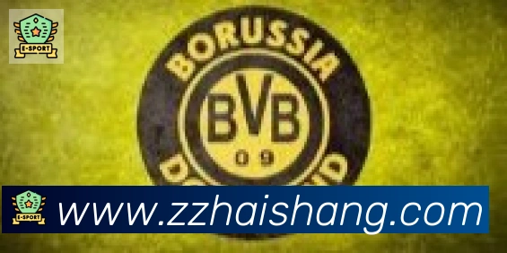 开云app合作伙伴